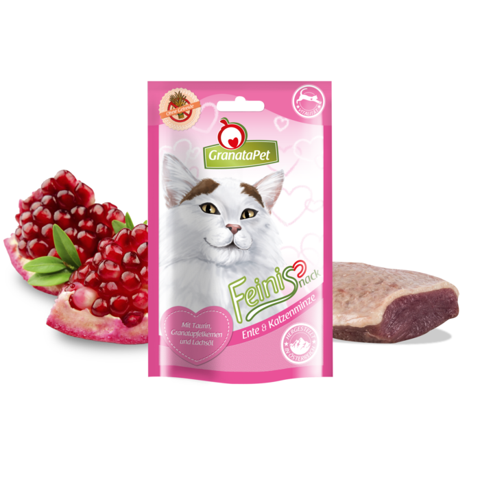 Antis su katžole (skanukai)