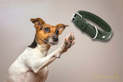 petlove.lt samanų spalvos rankų darbo odinis antkaklis šunims