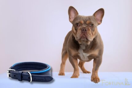 petlove.lt karališkai mėlynas natūralios odos antkaklis