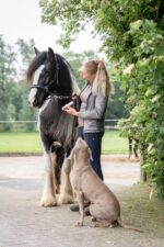 Hydro RepairGel Horse