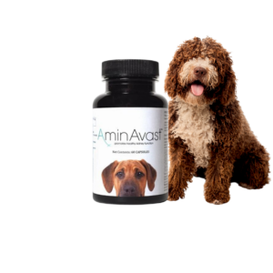 petlove.lt aminavast papildas sveikai inkstų fukcijai palaikyti petlove.lt