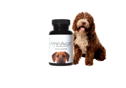 petlove.lt aminavast papildas sveikai inkstų fukcijai palaikyti petlove.lt