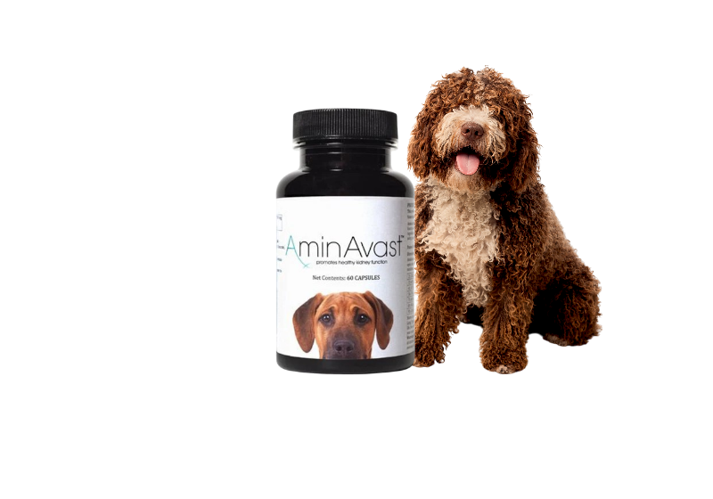 Aminavast-for-dogs petlove.lt aminavast papildas sveikai inkstų fukcijai palaikyti petlove.lt