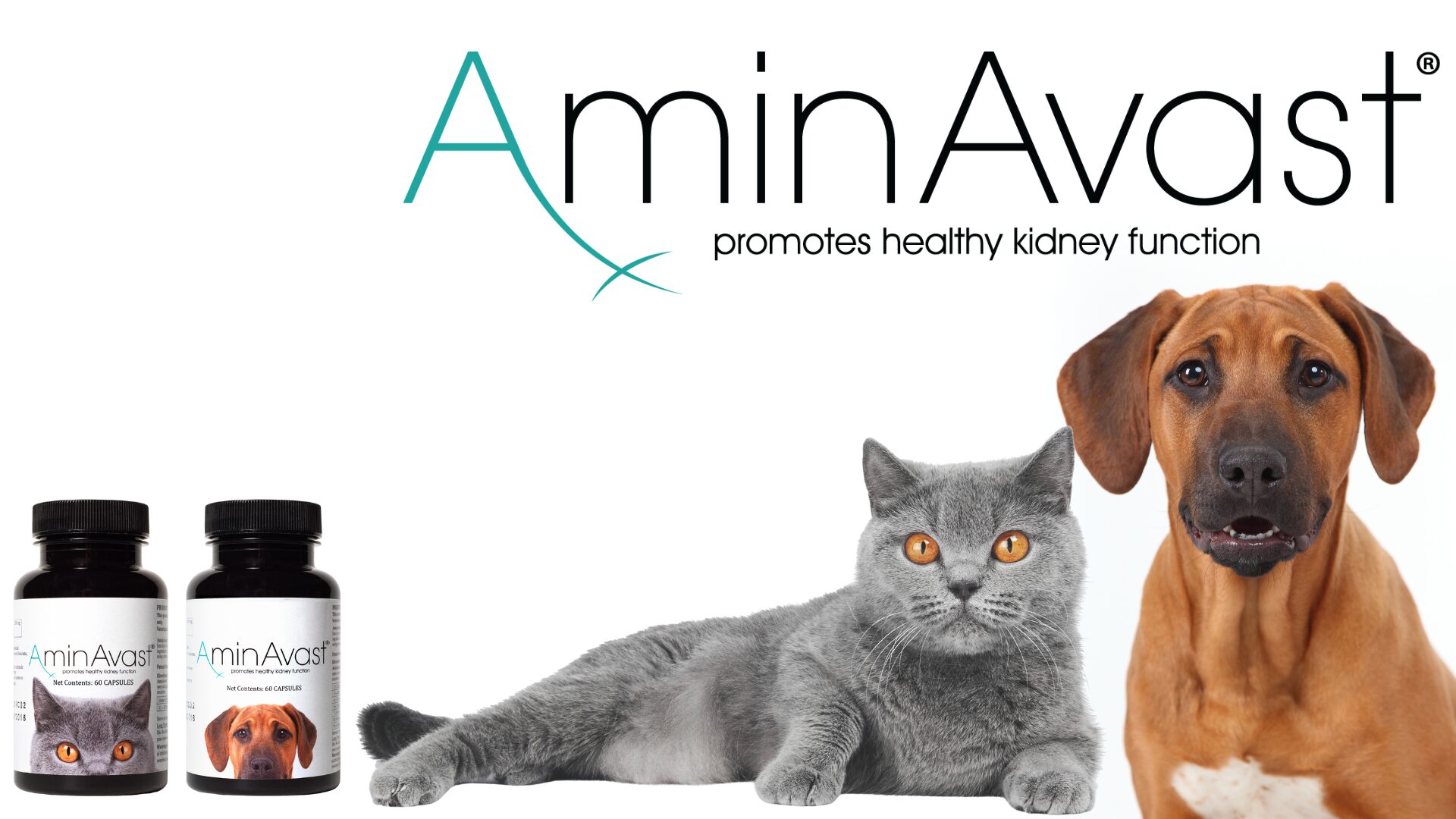 petlove.lt AminAvast – papildas inkstų funkcijai palaikyti šunims ir katėms