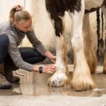 Natūralus kietasis šampūnas žirgų odai – Doderm petlove.lt