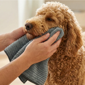 Antibakterinis sidabrinis rankšluostis gyvūnams petlove.lt