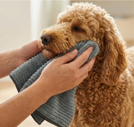 Antibakterinis sidabrinis rankšluostis gyvūnams petlove.lt
