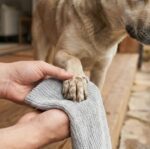 Sidabrinis rankšluostis žirgams ir kitiems gyvūnams – Doderm petlove.lt