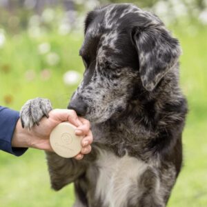 Doderm kietasis šampūnas švelniam ir veiksmingam odos valymui katėms ir šunims petlove.lt